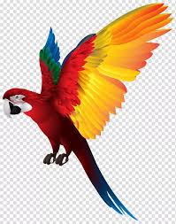 Loro